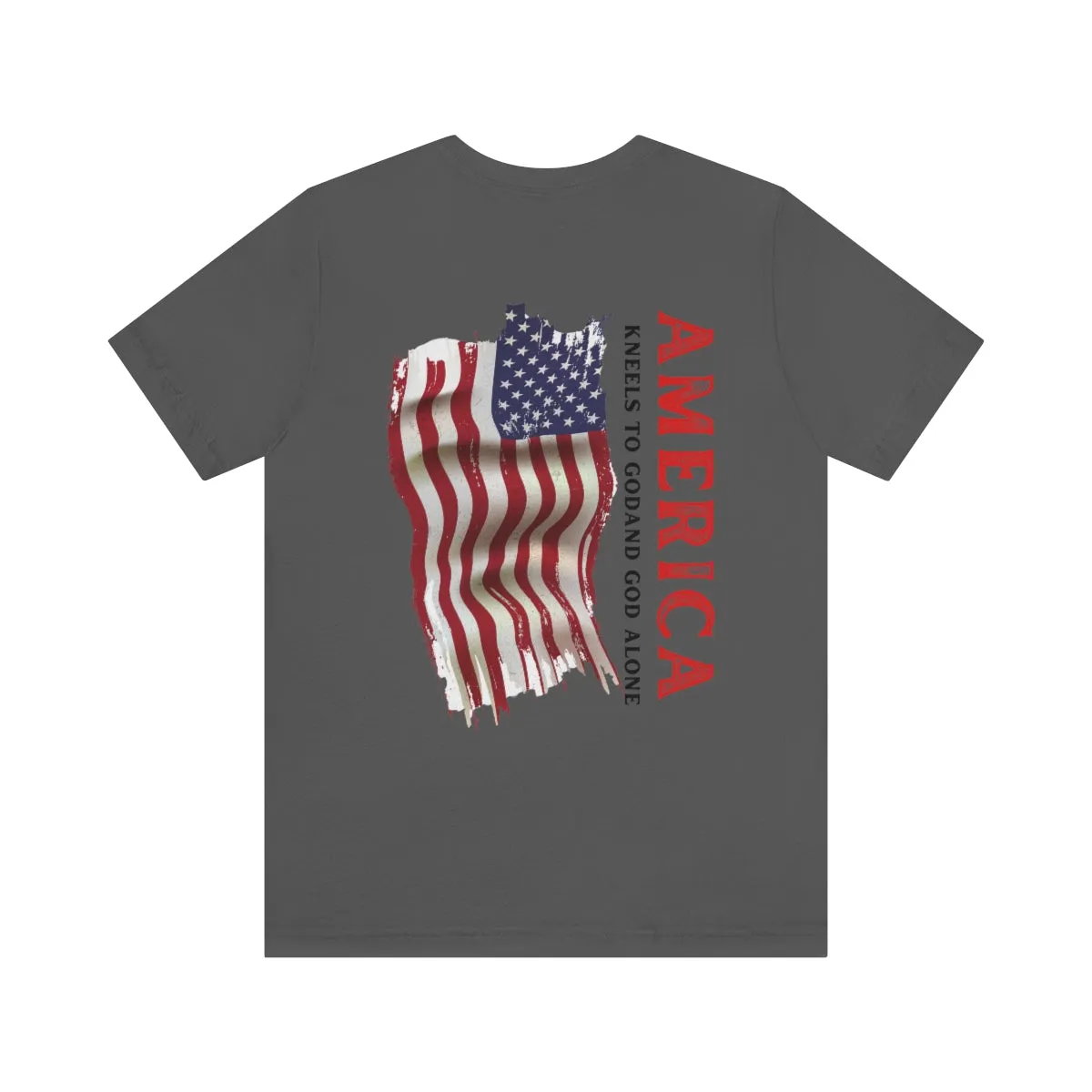 T-Shirt classic Jersey ( America )