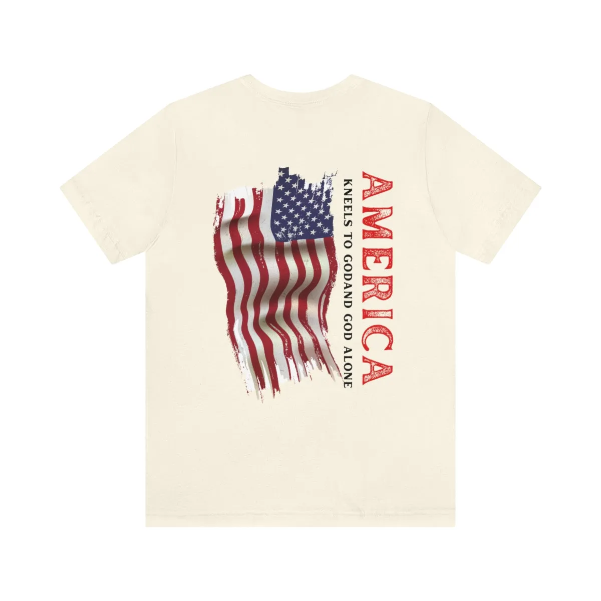 T-Shirt classic Jersey ( America )