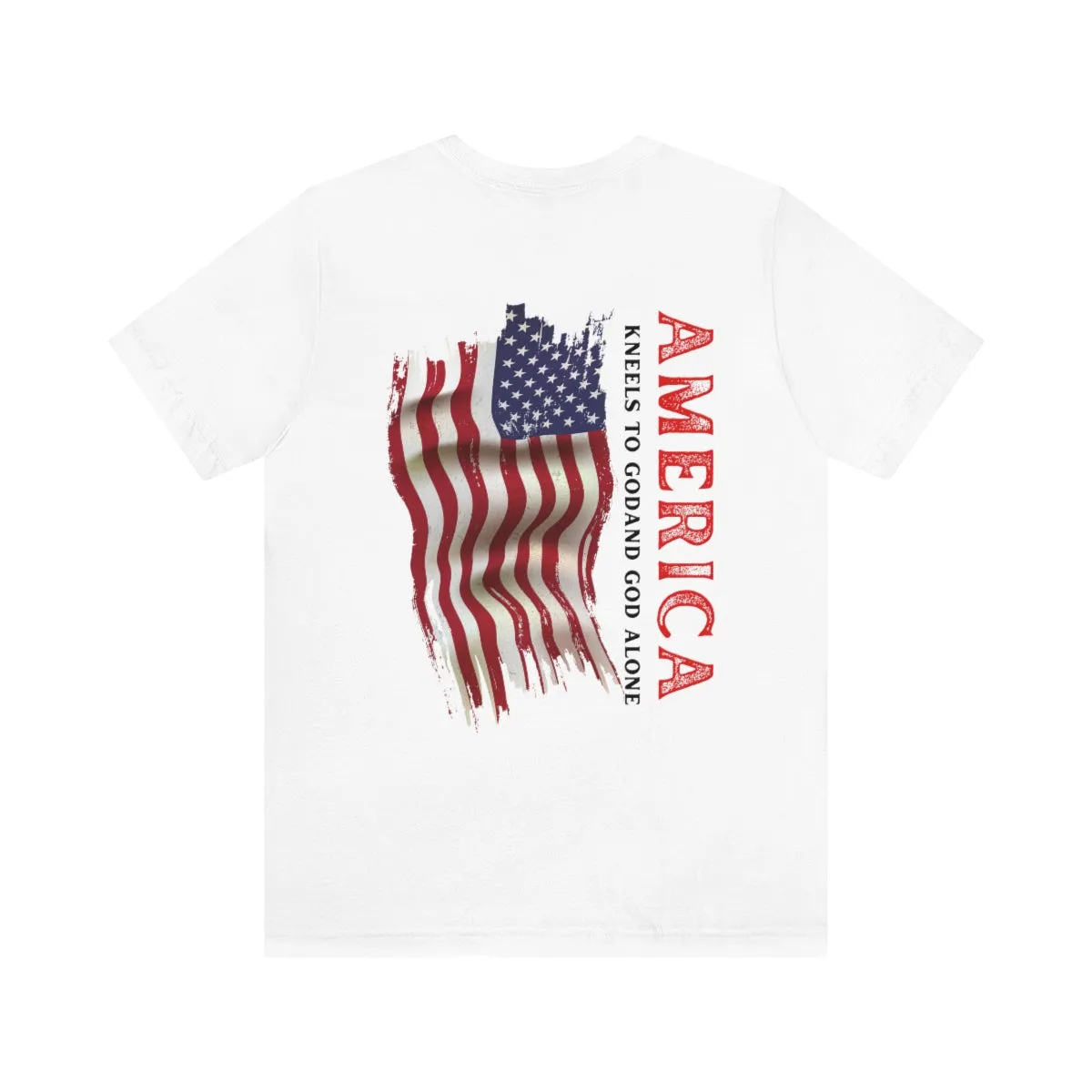T-Shirt classic Jersey ( America )