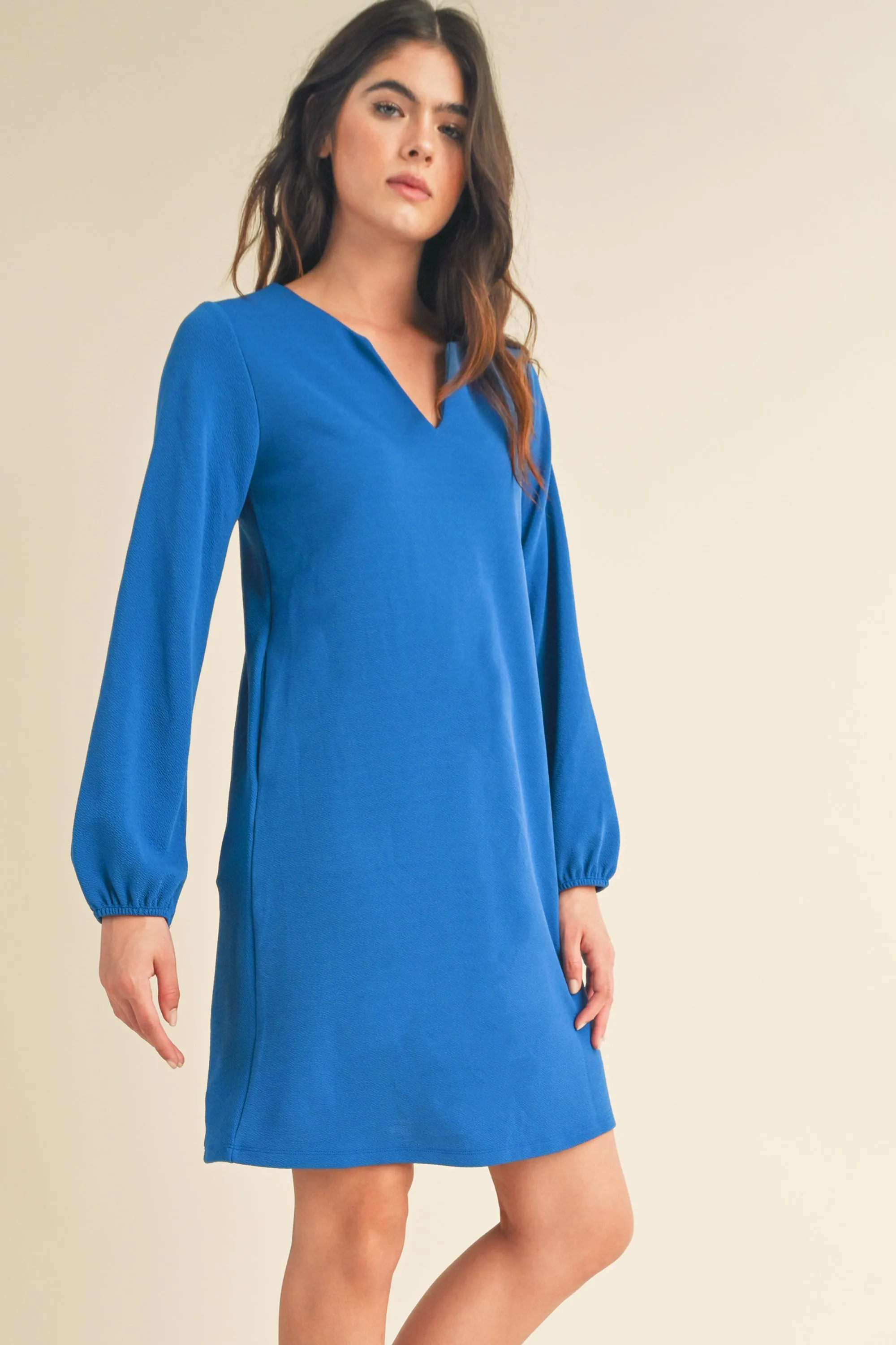 Women's Long Sleeve Shift Dress